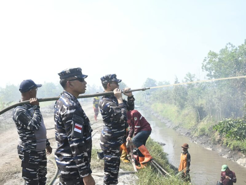 Danlanal Banjarmasin bersama Dankodaeral XIII Lakukan Peninjauan Karhutla