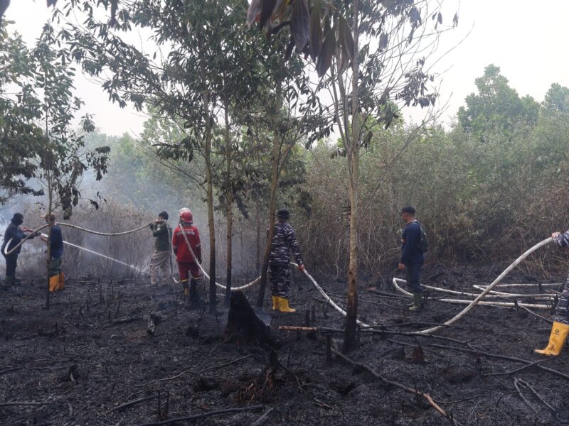 Respons Cepat, Lanal Banjarmasin Bersama Tim Gabungan Lokalisir Karhutla di Guntung Damar
