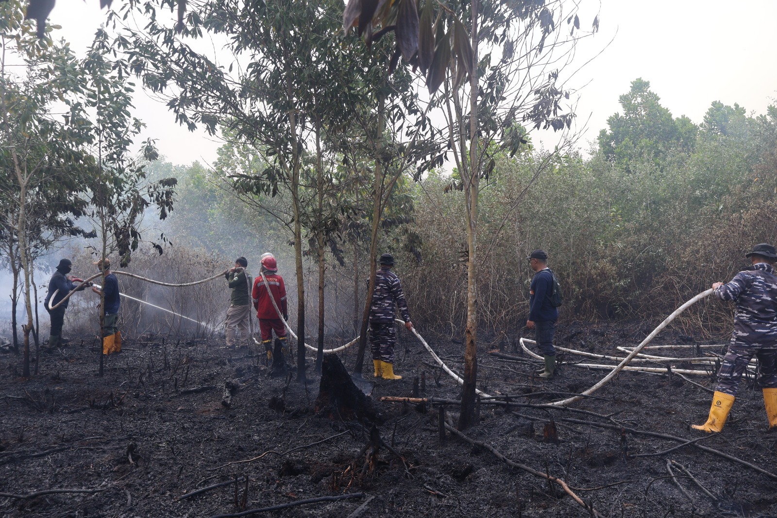 Respons Cepat, Lanal Banjarmasin Bersama Tim Gabungan Lokalisir Karhutla di Guntung Damar