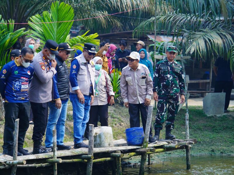 Bupati Muba Apresiasi Usaha Ketahanan Pangan Desa di Bayung Lencir – Detiktoday.com