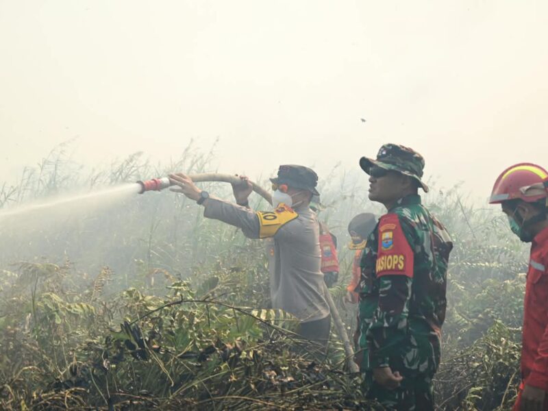Kapolda Jambi Bersama Gubernur dan Danrem Pantau Penanganan Karhutla di Tanjab Timur – Detiktoday.com