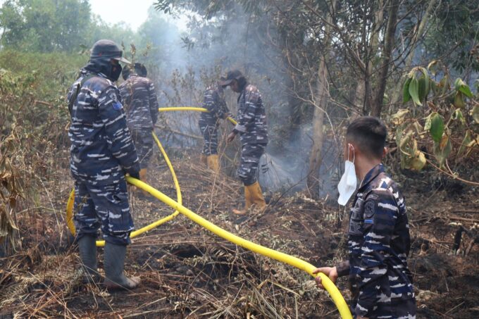 Aksi Cepat Lanal Banjarmasin Padamkan Kebakaran Hutan Gambut di Kabupaten Banjar