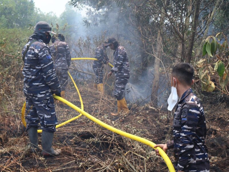 Aksi Cepat Lanal Banjarmasin Padamkan Kebakaran Hutan Gambut di Kabupaten Banjar