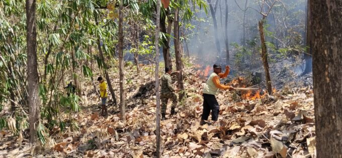Padamkan Kebakaran Hutan, Babinsa Kodim Ponorogo dan Unsur Terkait Gerak Cepat