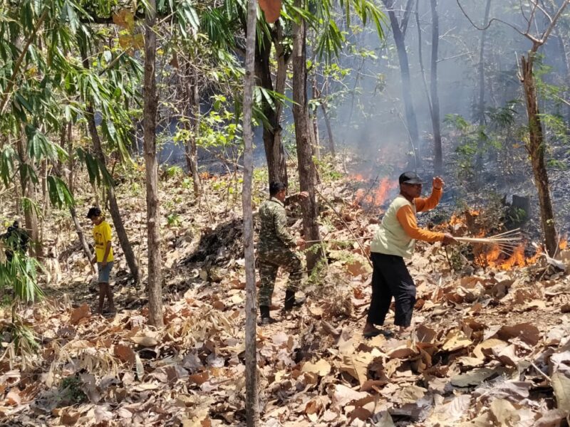 Padamkan Kebakaran Hutan, Babinsa Kodim Ponorogo dan Unsur Terkait Gerak Cepat