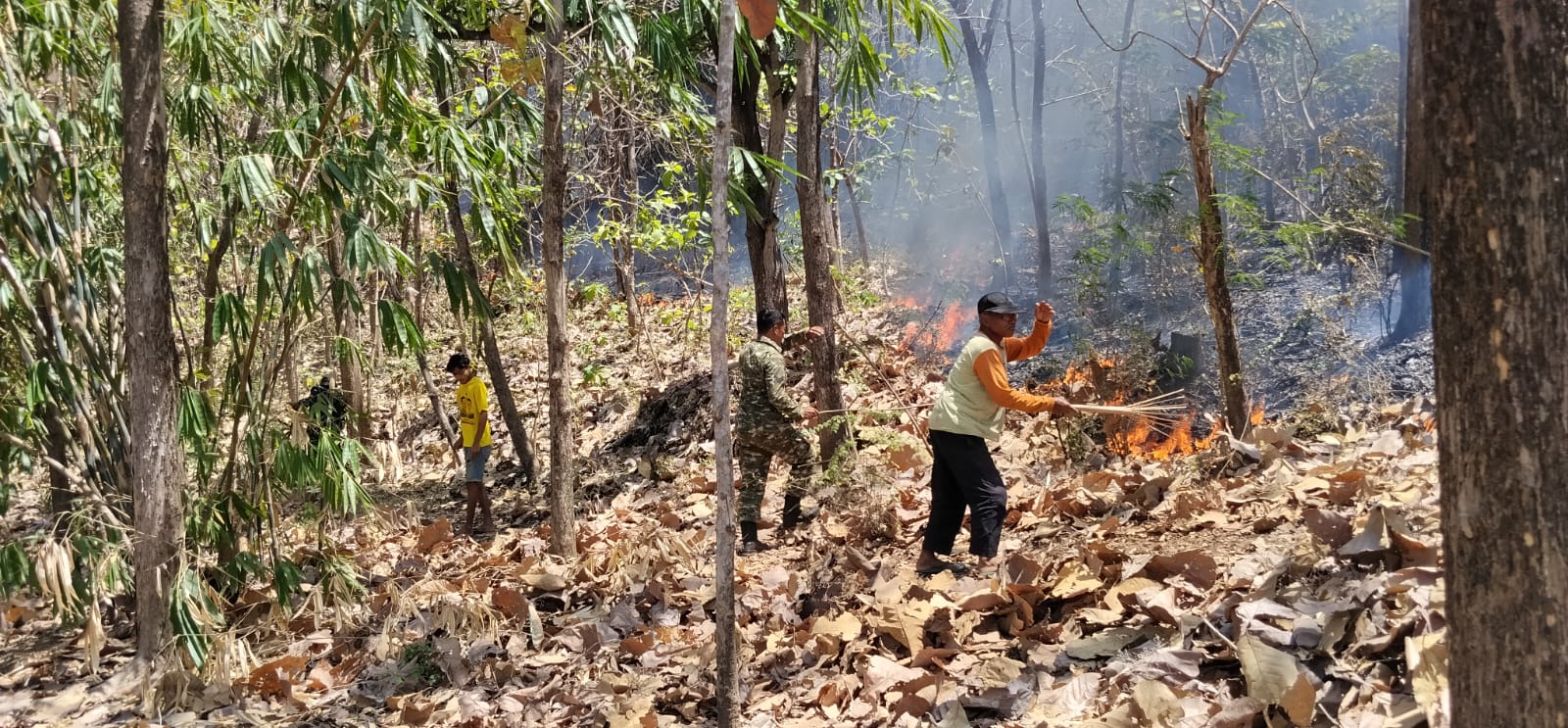 Padamkan Kebakaran Hutan, Babinsa Kodim Ponorogo dan Unsur Terkait Gerak Cepat