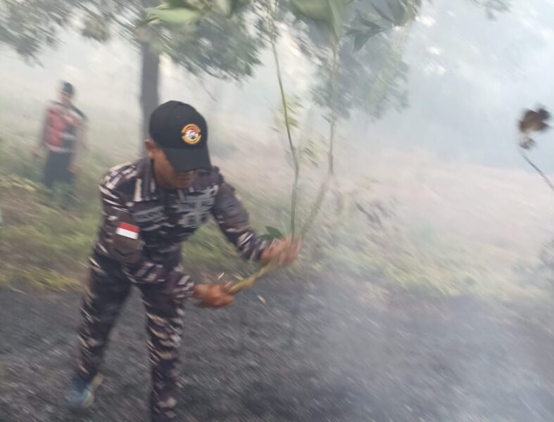 Gerak Cepat TNI AL, Personel Posbinter Pulau Penyengat Lanal Bintan Turun Tangan Padamkan Karhutla Cegah Api Meluas