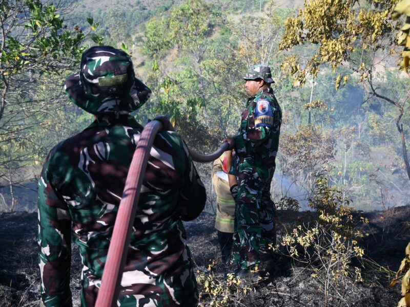 Tak Kenal Lelah, Lanud SIM Jajaran Kodau I Kembali Bergerak Cepat Padamkan Karhutla