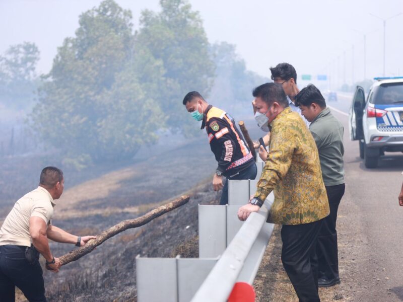 Karhutla Sumsel Tak Lagi Sekadar Dipadamkan, Herman Deru Siapkan Langkah Gakkum – Detiktoday.com