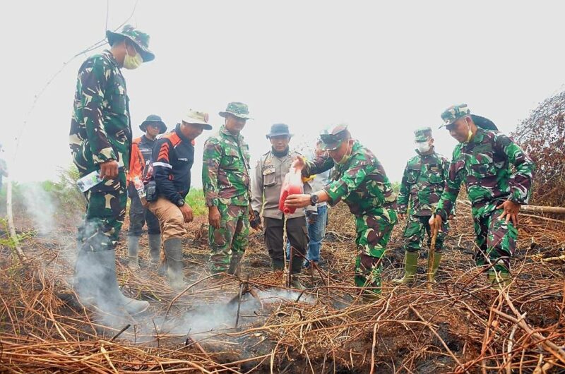TNI Menembus Gambut, Sisa Api Karhutla Kembali Dipadamkan