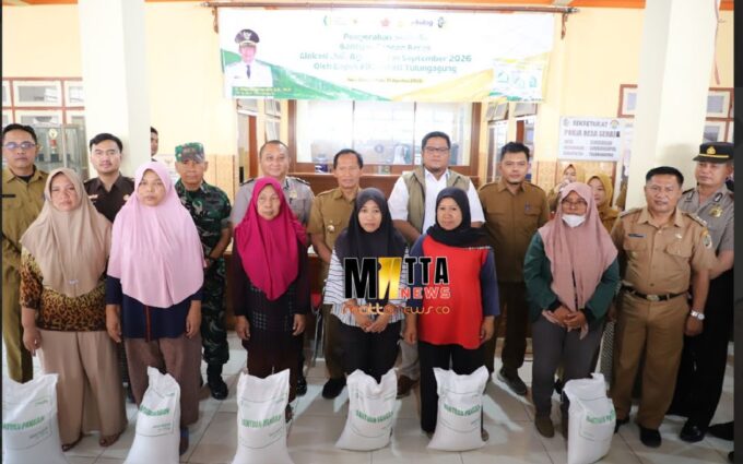 Bantuan Pangan Beras Tiga Bulan Disalurkan di Tulungagung, Pemkab dan Bulog Perkuat Sinergi – Detiktoday.com