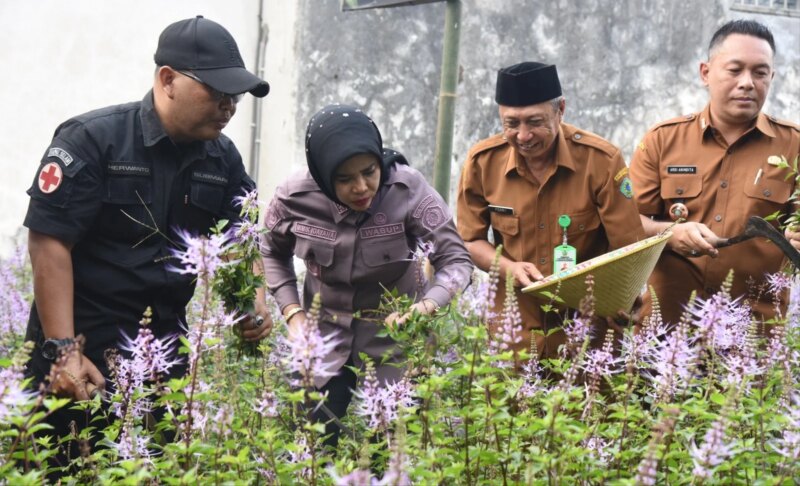 Wabup Mimik Dorong Toga Kumis Kucing Jadi UMKM Unggulan Sidoarjo – Detiktoday.com