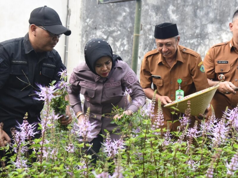 Wabup Mimik Dorong Toga Kumis Kucing Jadi UMKM Unggulan Sidoarjo – Detiktoday.com