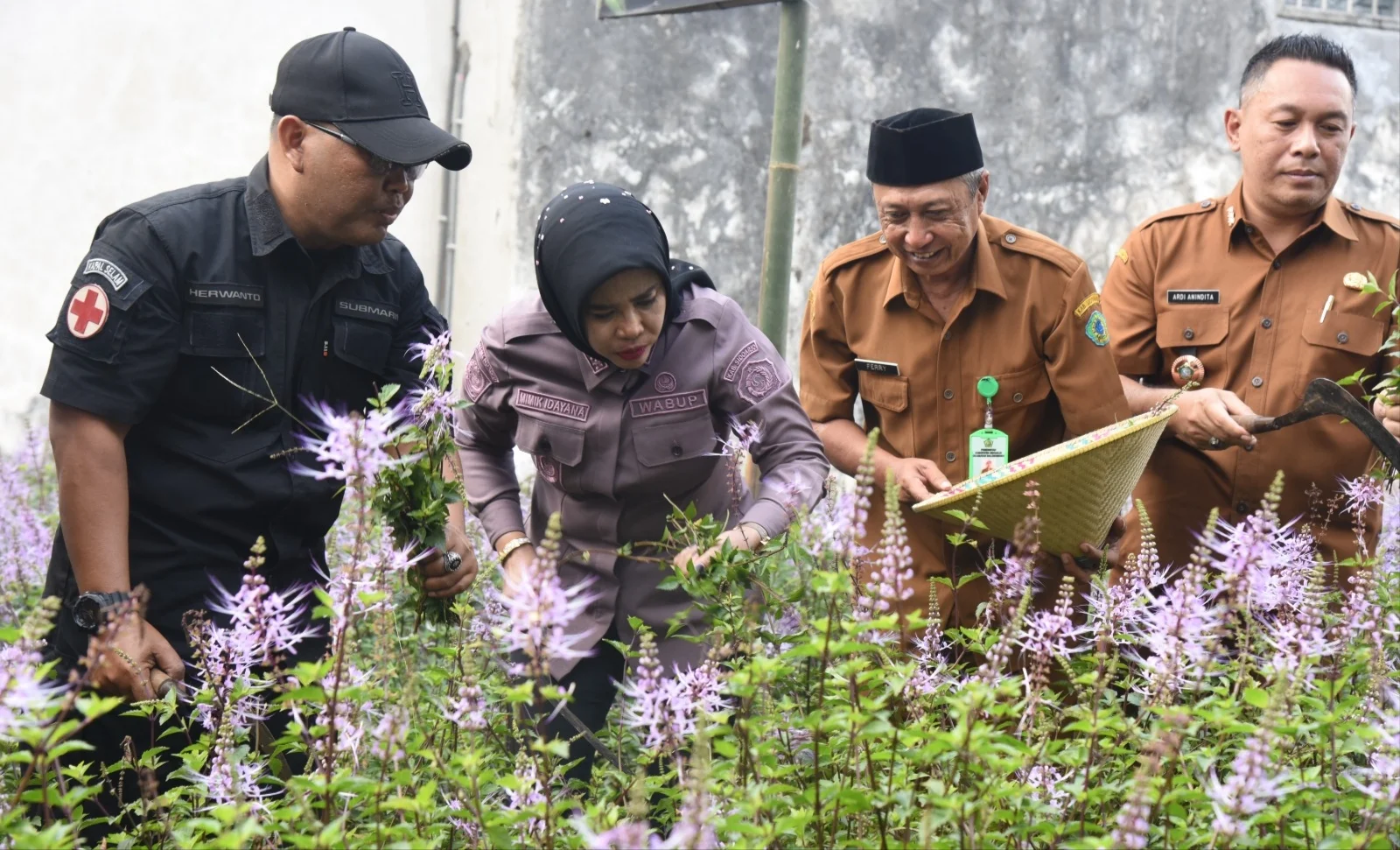 Wabup Mimik Dorong Toga Kumis Kucing Jadi UMKM Unggulan Sidoarjo – Detiktoday.com