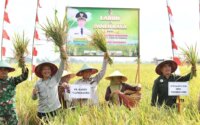 Kolaborasi Hulu-Hilir Jadi Kunci Pertahankan Swasembada Pangan – Detiktoday.com