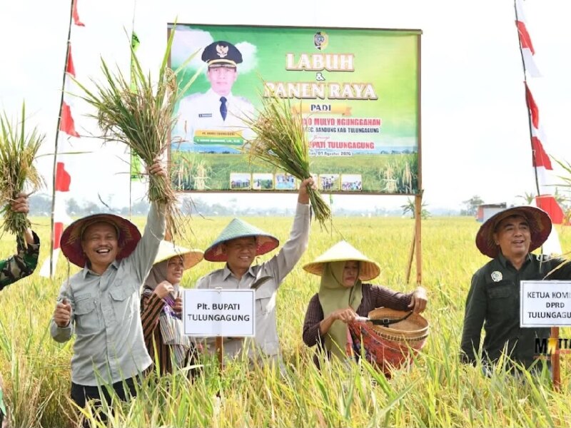 Kolaborasi Hulu-Hilir Jadi Kunci Pertahankan Swasembada Pangan – Detiktoday.com