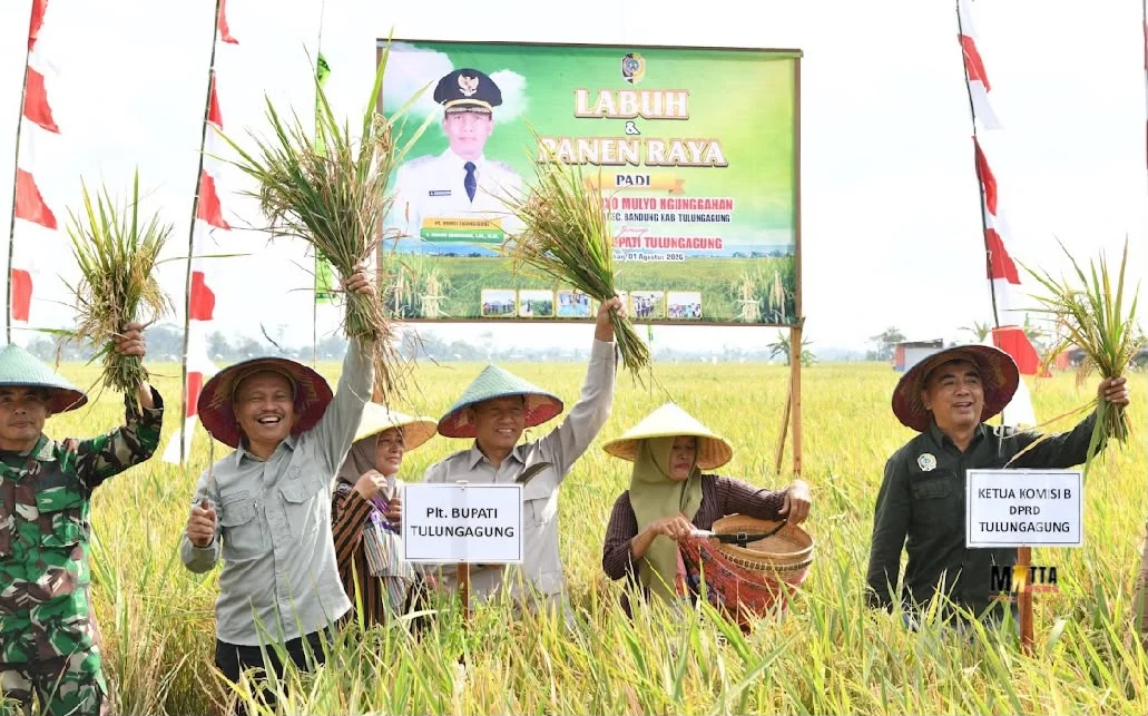 Kolaborasi Hulu-Hilir Jadi Kunci Pertahankan Swasembada Pangan – Detiktoday.com
