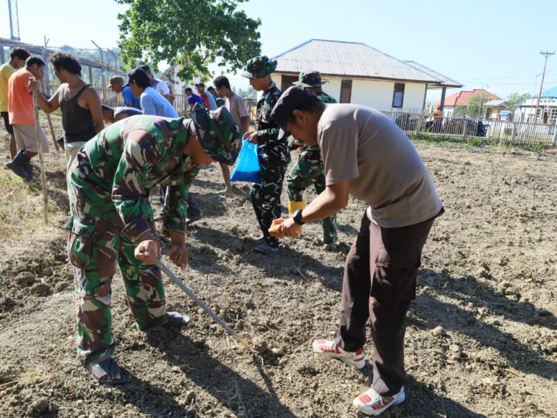 TMMD Ke-129 Tak Hanya Membangun, Tapi Juga Menanam Harapan Melalui Ketahanan Pangan