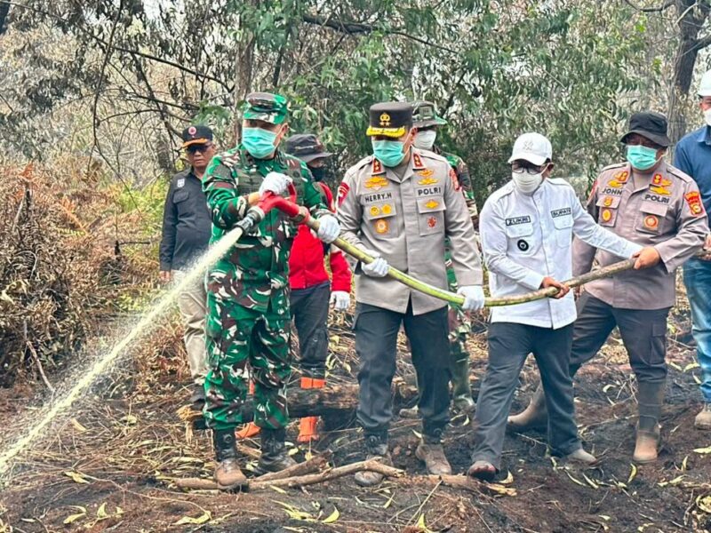 TNI Siagakan 66.510 Personel Tangani Karhutla di Seluruh Indonesia