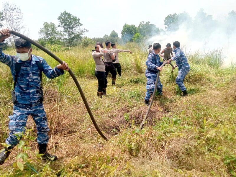 Komandan Lanud Sjamsudin Noor Pimpin Langsung Pemadaman Kebakaran Hutan dan Lahan di Kalimantan Selatan