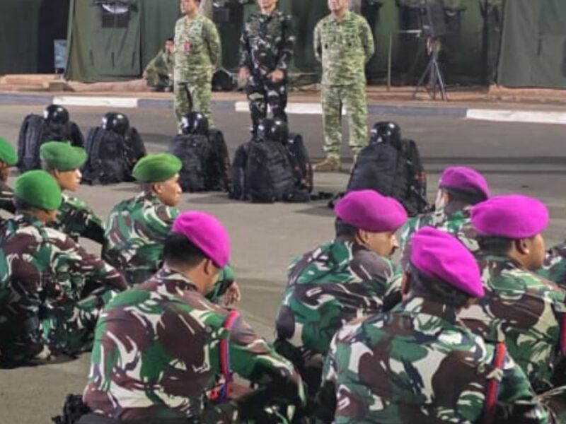 TNI Kerahkan Satgas Khusus Percepat Penanganan Karhutla di Riau