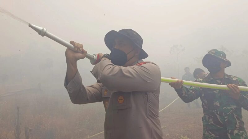 Terkepung Asap! Dandim dan Kapolres Kapuas Hulu Berjibaku Digaris Api Demi Selamatkan Nanga Awin – Detiktoday.com
