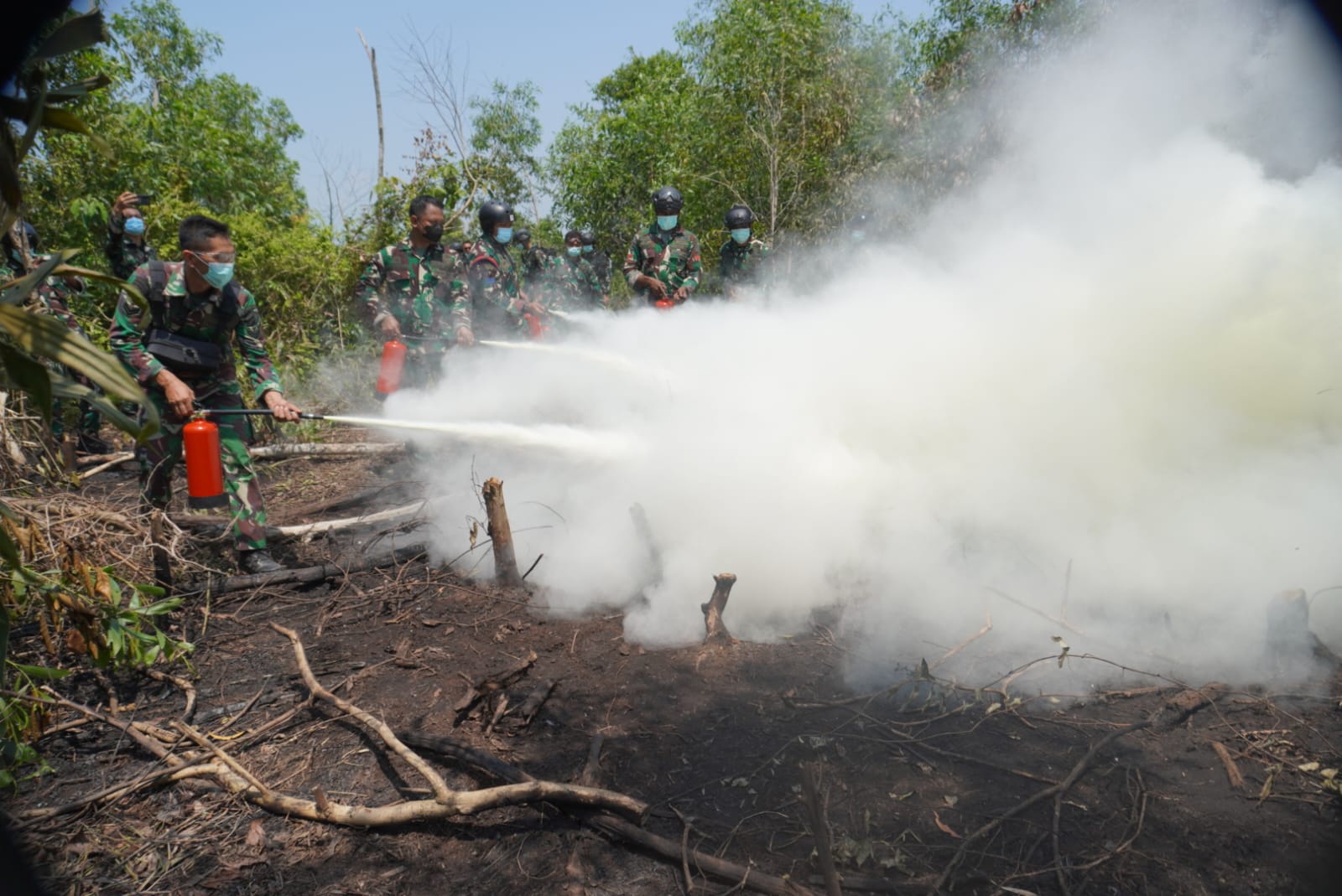 TNI Percepat Penanganan Karhutla Way Kambas, Tim Alfa Diterjunkan dari Udara