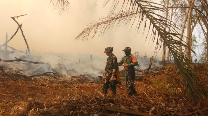 Babinsa Kodim 1206/Psb Padamkan Api, Gelar Apel Siaga Hingga Berjibaku di 3 Wilayah Kapuas Hulu – Detiktoday.com