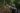 Latgabma Super Garuda Shield 2026 Marfor Lampung Gelar Latihan Menembak Sniper dan Jungle Survival