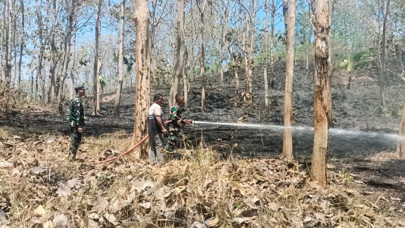 Gerak Cepat Babinsa Bersama Yonif TP 886/PJY, Padamkan Kebakaran Lahan di Banyuurip