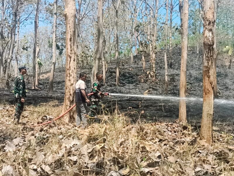 Gerak Cepat Babinsa Bersama Yonif TP 886/PJY, Padamkan Kebakaran Lahan di Banyuurip