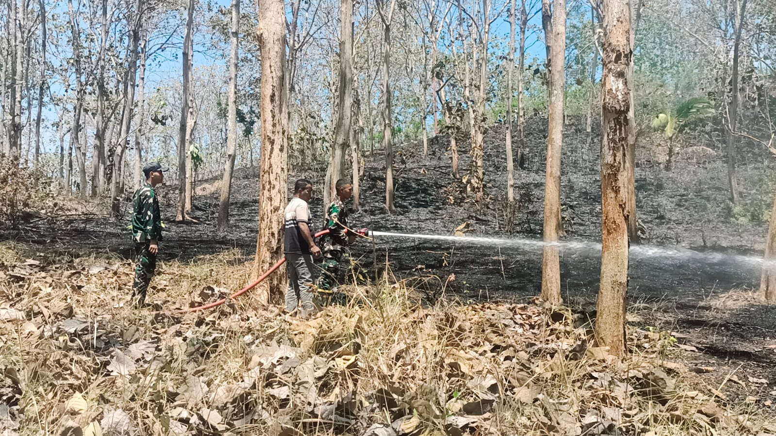 Gerak Cepat Babinsa Bersama Yonif TP 886/PJY, Padamkan Kebakaran Lahan di Banyuurip
