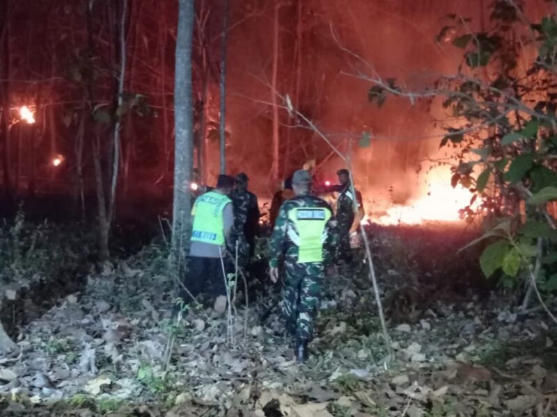 Gerak Cepat Babinsa Kodim Ponorogo dan Unsur Terkait, Atasi Kebakaran di Pekarangan Warga 
