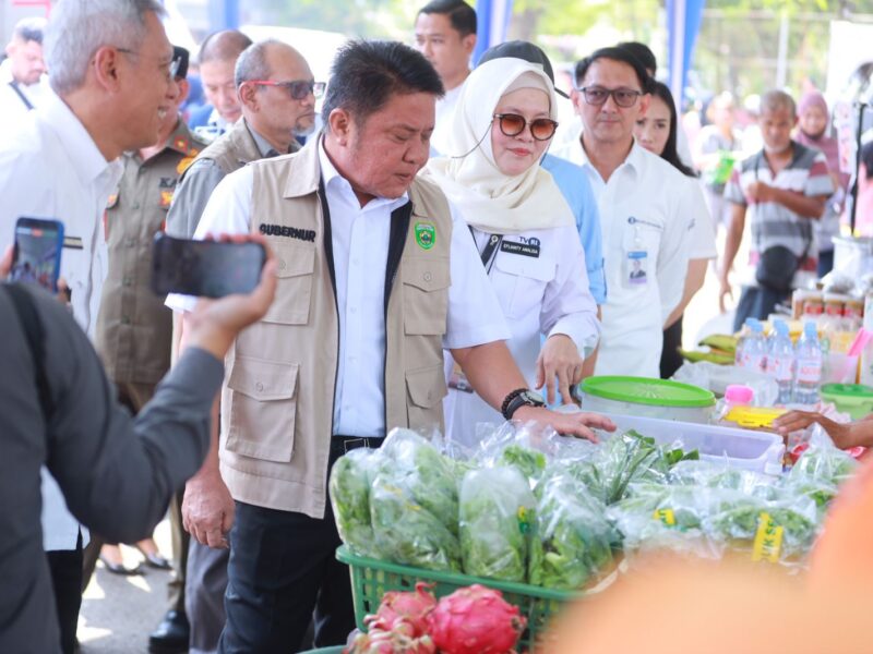 Stok Beras Sumsel Aman 10 Bulan, Herman Deru Minta Warga Tak Panic Buying – Detiktoday.com