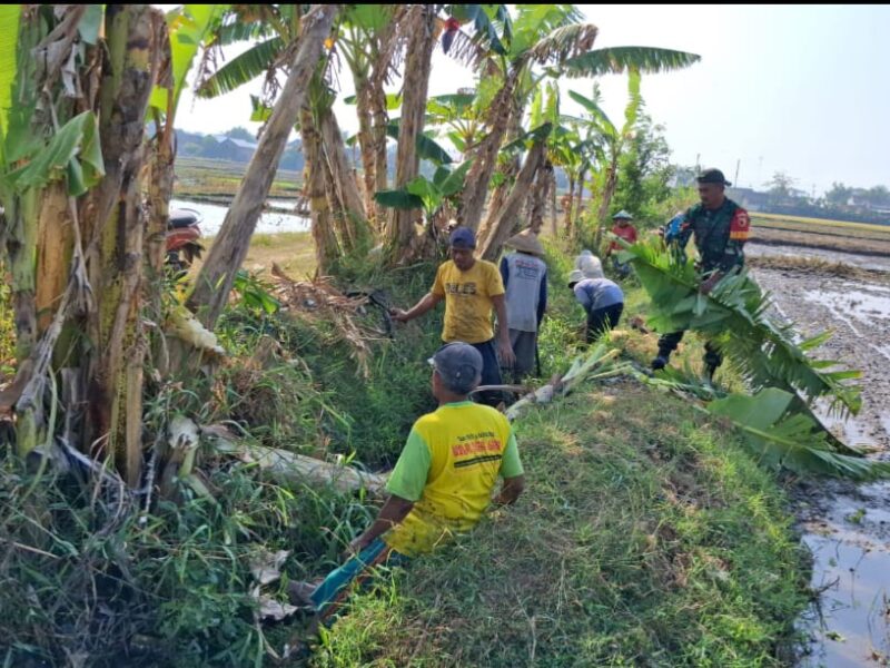 Lancarkan Irigasi Pertanian, Babinsa Ponorogo Kerja Bakti Bersama Warga