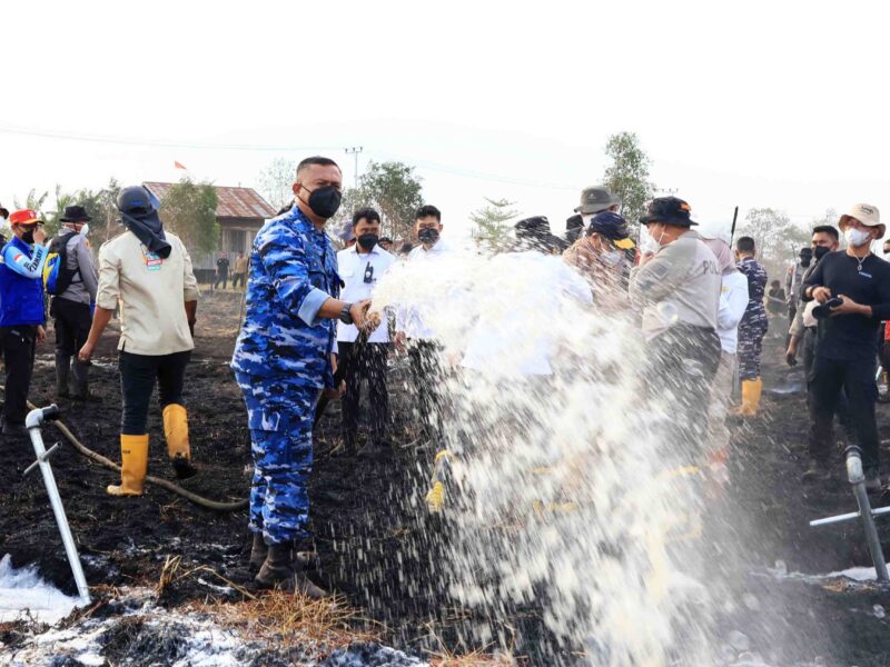 Gunakan Cairan Khusus, Metode Undercooling Dikerahkan; Gubernur, Danlanud, dan Forkopimda Kalsel Bersinergi di Titik Api Atasi Karhutla